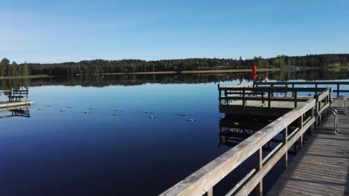 Posada Koivupuisto