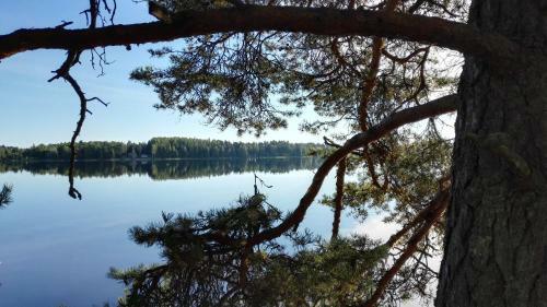 Posada Koivupuisto