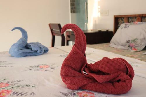 Hostal Magnolia Guesthouse Varkala