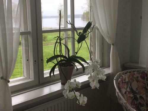 Agroturismo Lomatila Ollila Farm Stay