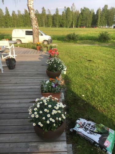 Agroturismo Lomatila Ollila Farm Stay