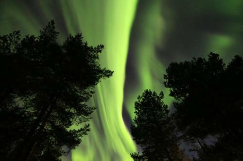 Lapland Northern Lights Hotel Ilveslinna Ranua