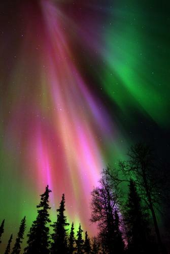 Lapland Northern Lights Hotel Ilveslinna Ranua