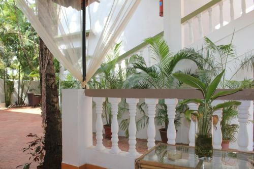 Hotel Silver Sands Sunshine - Angaara