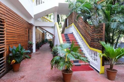 Hotel Silver Sands Sunshine - Angaara