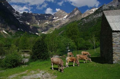 Camping Pe�a Monta�esa