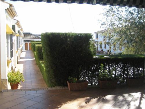 Hostal Restaurante El Alamo
