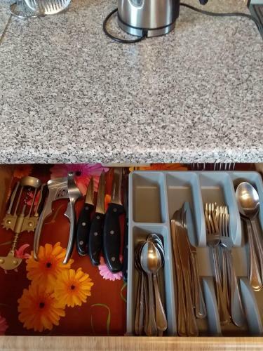 Hostal Chalet Drozd