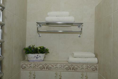 Hotel Mirskiy Posad