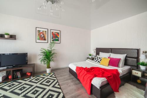 Apartments Roomer 31