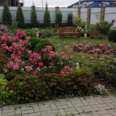 Guesthouse Nature