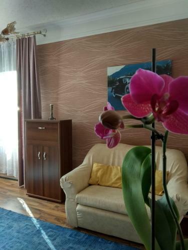 Hostal Rakovskii