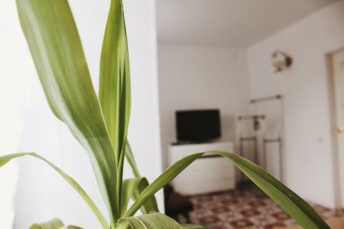 Vib Apartment Near Station