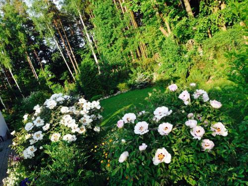 Hostal Villa Iconic Garden