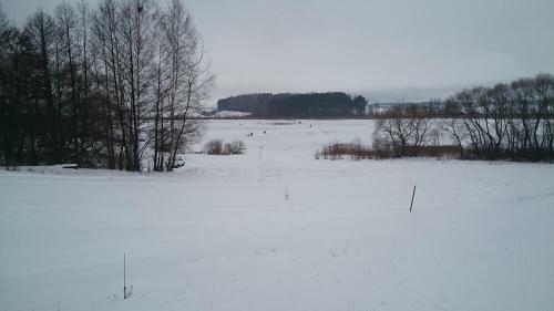 Usadba Krolchya Nora
