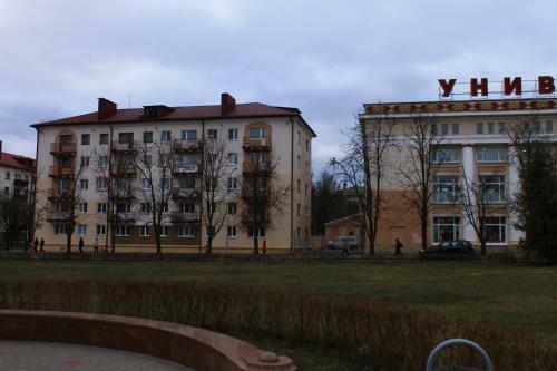 Apartment On Sovetskaya 103