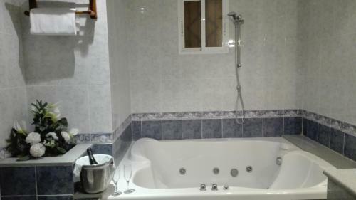 Hostal Andr�s