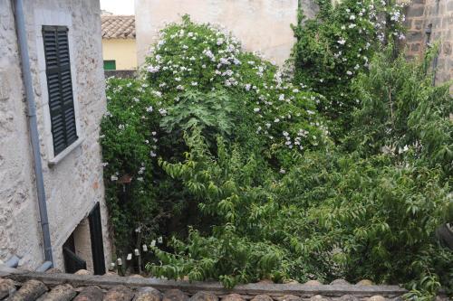 Petit Hotel Sa Pla�a