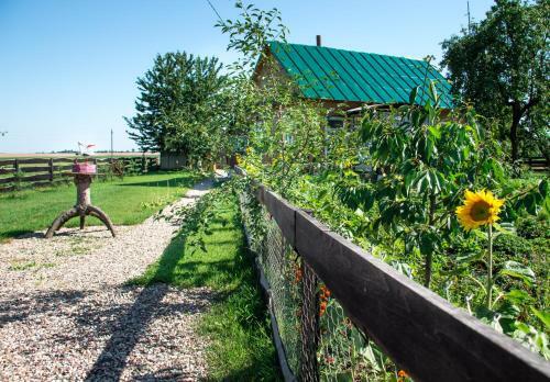 Hostal Agrousadba Ryabinushka