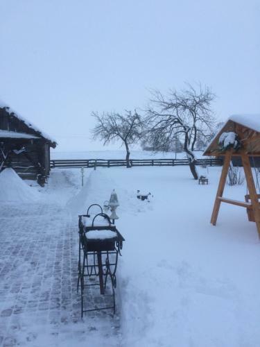 Hostal Agrousadba Ryabinushka