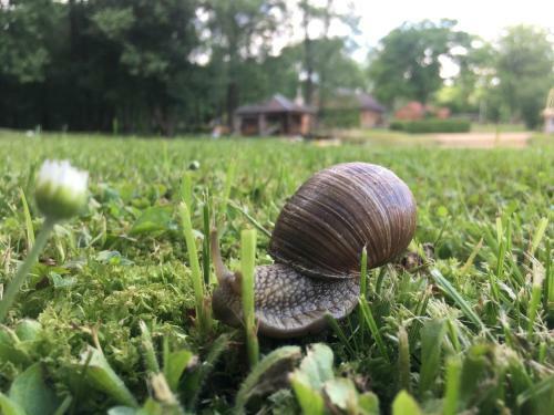 Agroturismo Aghrousad'ba "kalia Duba"