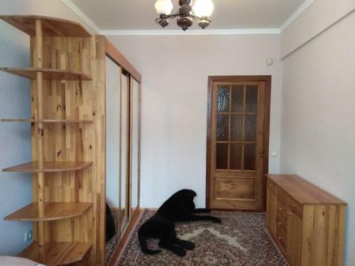 Elena's Apartment In The City Center