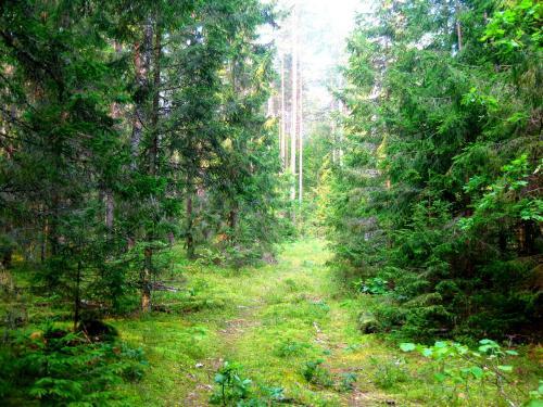 Agrousadba Belorusskiy Baykal