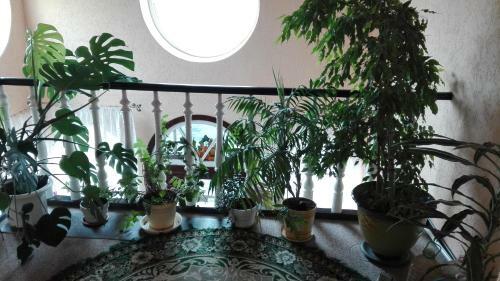 Hostal Usadba Zazerie