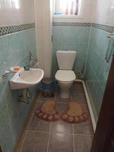 Hostal Cottage On 6 Stadionnaya