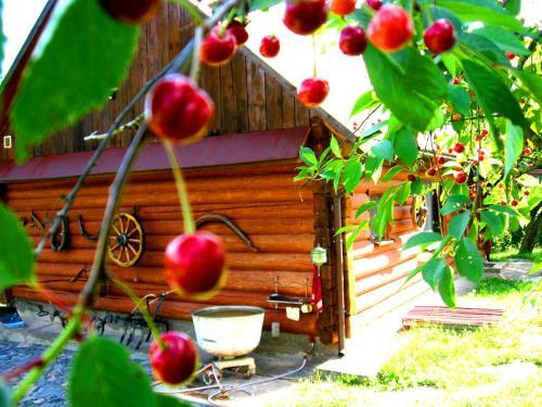 Agroturismo Usadba 4 Seasons
