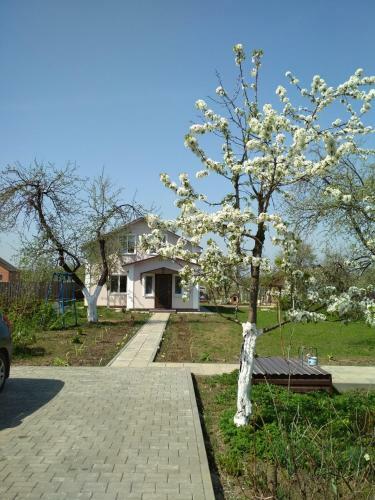 Hostal Agrousadba Y Marini