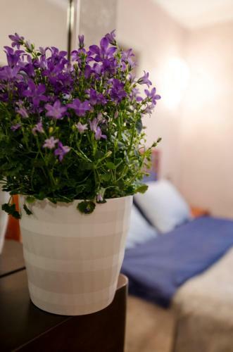 Hostal Guest House "chalet"