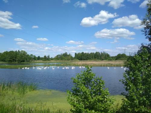 Agroturismo Usadba Chemely
