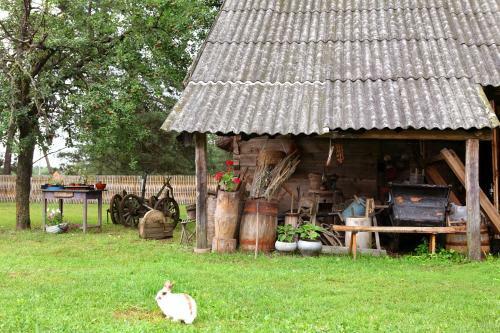 Agrousad'ba "u Alesia"