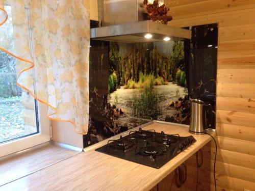 Holiday Home Zaozerie