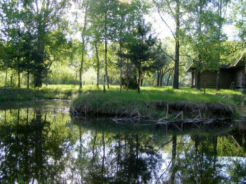 Zayezd Zubachi Brest Holiday Home