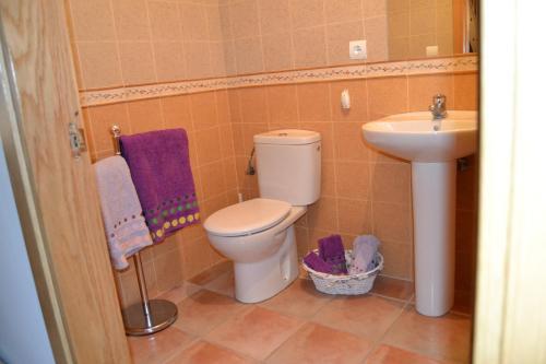 Apartamentos Portal De Ordesa
