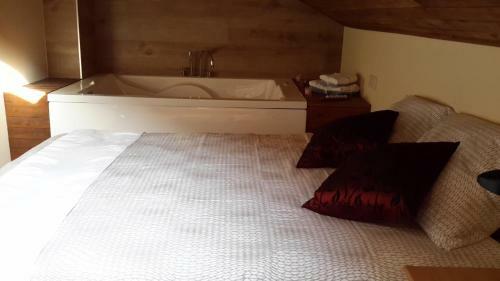 Apartamentos Portal De Ordesa