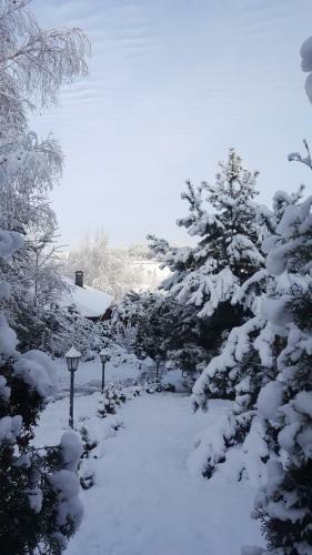 Hostal Usadba Angelika