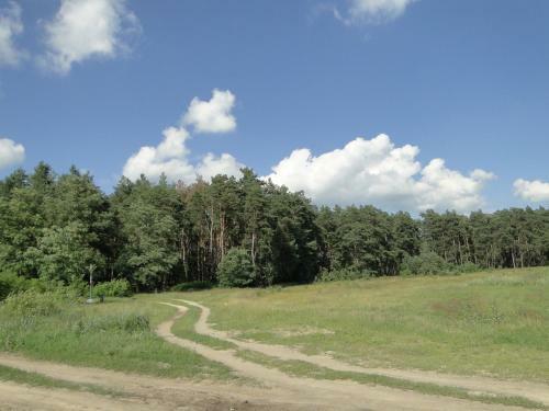 Agrousadba Shushenskoye