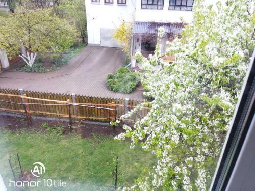 Bed & Breakfast Usadba Zapadnaya Dvina