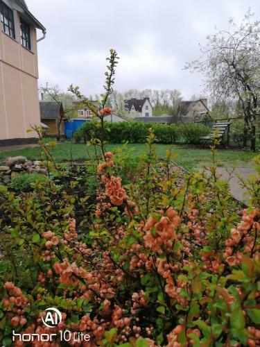 Bed & Breakfast Usadba Zapadnaya Dvina