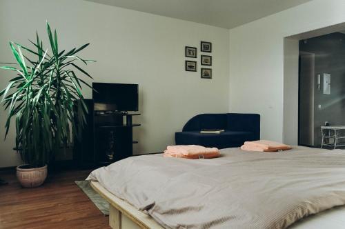 Apartment Pinsk