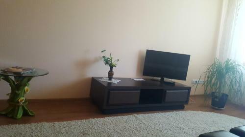 Apartment Solnechnaya 36