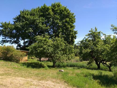 Holiday Home Svet Lana