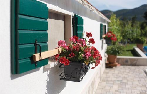 Holiday Home Zavojane V