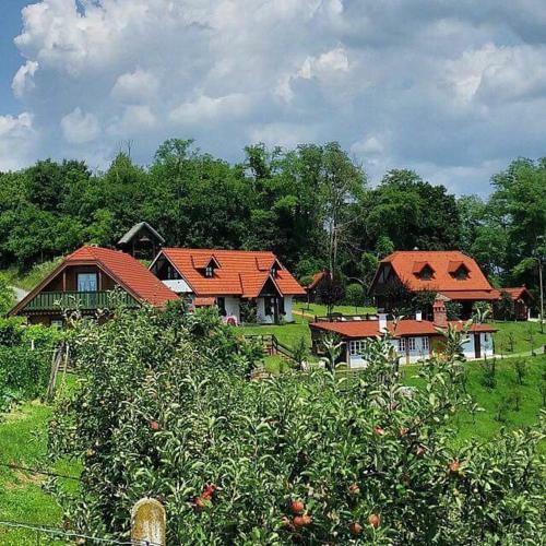 Apartments Zaboky Village