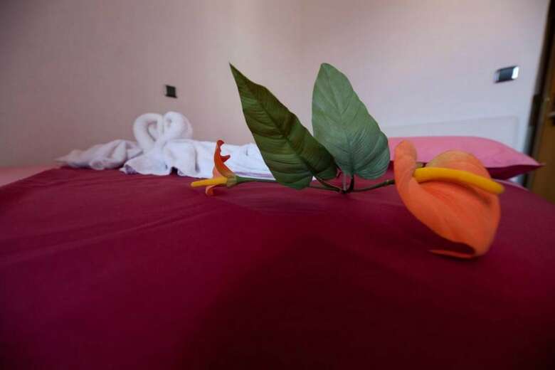 Bed & Breakfast Rooms Aladino
