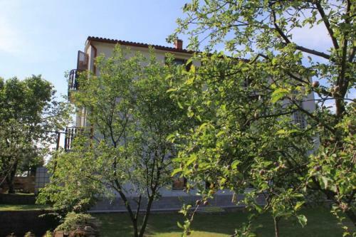 Apartment Opatija - Pobri 7890a