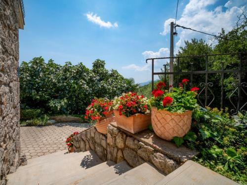 Apartment Evi�i